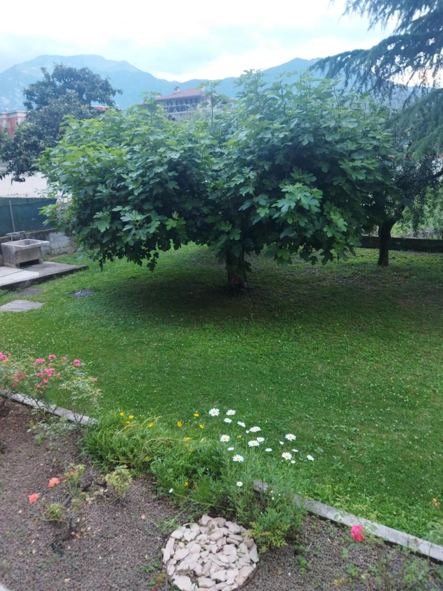 Apartmán Rose Garden House Wi-Fi Riva del Garda Exteriér fotografie